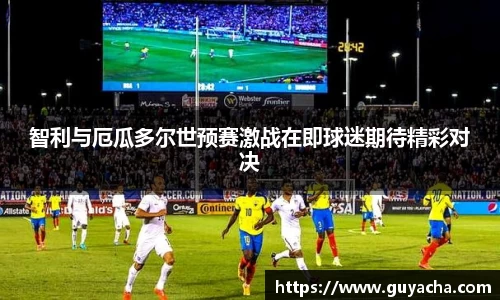 IM电竞官网