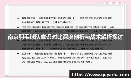 南京羽毛球队意识对比深度剖析与战术解析探讨