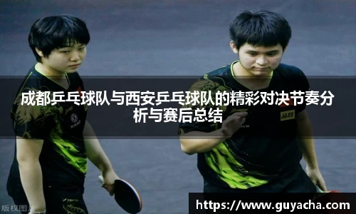 IM电竞股份有限公司