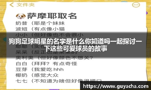 IM电竞-电子竞技平台