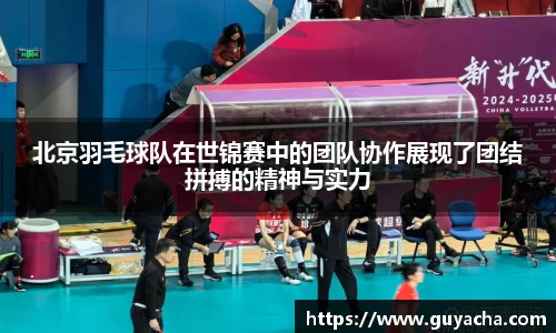 IM电竞-电子竞技平台