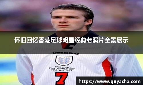 IM电竞股份有限公司