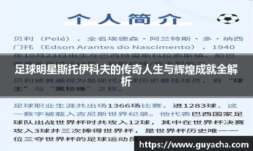 IM电竞股份有限公司